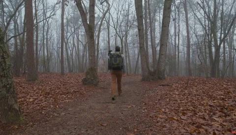 Trail runner jogging through a misty forest of bare deciduous trees covered in fallen leaves.
