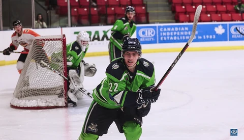 Hockey player in green and black jersey celebrates with stick raised during game.