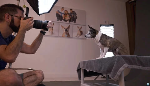 Photographer crouching while shooting a dog sitting on a couch with a camera and external flash.