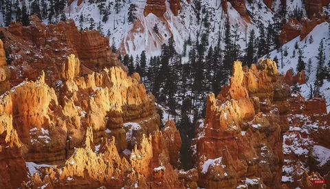 Rust-colored hoodoo rock formations with snow patches and evergreen trees in background at sunrise or sunset.