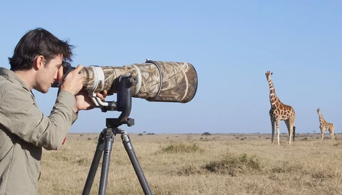 Wildlife photographer using a telephoto lens on a tripod to capture giraffes on an African savanna.