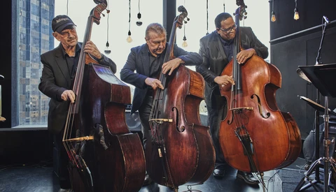 Four musicians playing cellos in a modern studio with floor-to-ceiling windows and pendant lighting.