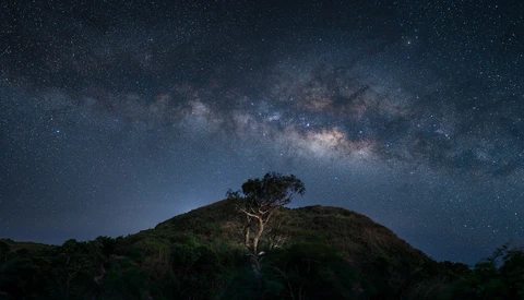 Lone tree silhouetted on a hillside beneath the Milky Way galaxy stretching across a starry night sky.