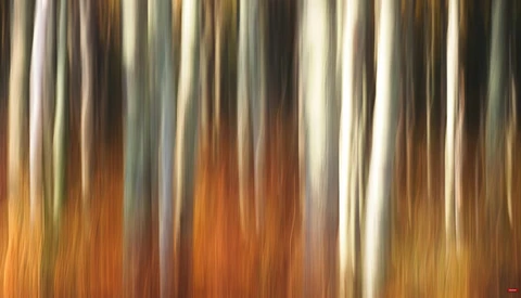 Vertical motion blur abstract composition with warm orange and cool neutral tones streaking downward.