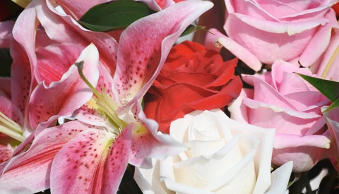 Close-up of pink orchids, red rose, and white roses with green foliage in a mixed bouquet.