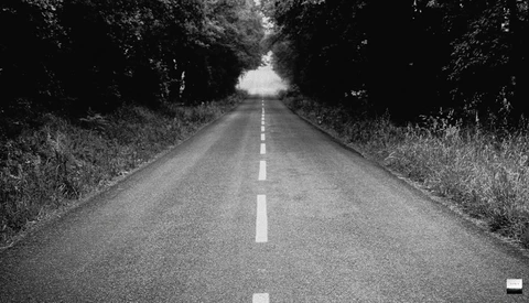Straight road with white center line disappearing into tree-lined horizon under overcast sky.