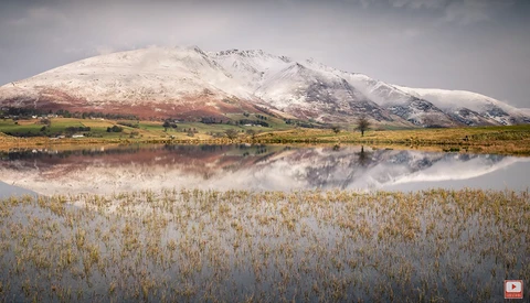 Snow-capped mountain reflected in still water with golden reed beds in foreground.