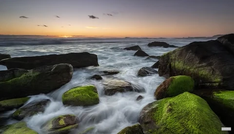 Moss-covered rocks in turbulent seawater at sunset with golden light on the horizon.