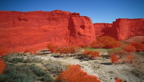 Vivid red sandstone cliffs rising above sparse desert vegetation under clear blue sky.