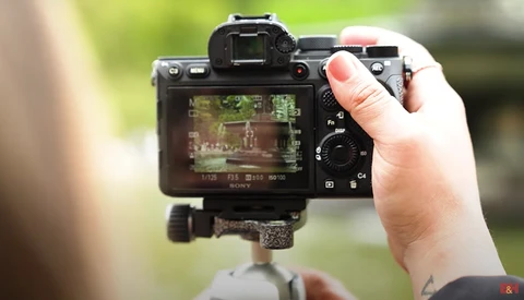 Photographer holding a Sony mirrorless camera on a tripod, reviewing footage on the rear LCD screen with a blurred green background.