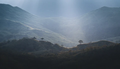Misty mountain valley with layered peaks and isolated trees backlit by diffused sunlight.