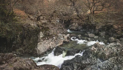 Fast-flowing river with white rapids cascading over dark rocks, surrounded by bare trees and moss-covered boulders.