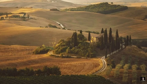 Tuscan villa with cypress trees on a rolling hillside at golden hour.