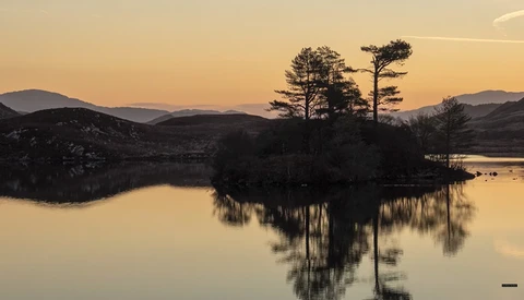 Silhouetted pine trees on a small peninsula reflected in still water at golden hour.