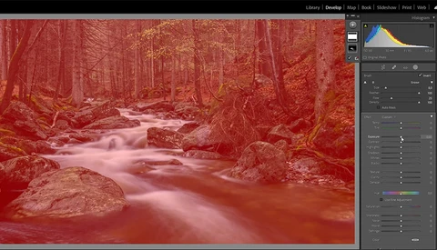 Screenshot of photo editing software displaying a forest stream with infrared color grading applied.