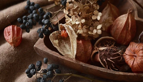 Autumn still life arrangement with dried flowers, berries, and seed pods on neutral fabric.