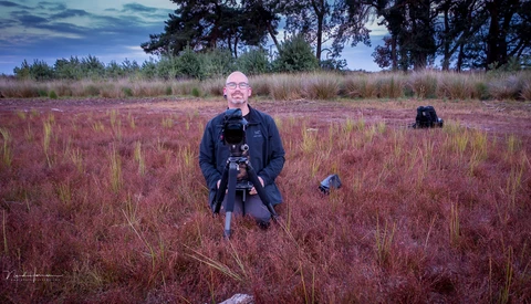 Photographer holding a camera on tripod in a field of reddish grasses at dusk.