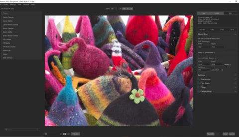 Colorful felted wool sculptures with vibrant pink, red, purple, blue, and yellow tones arranged closely together.