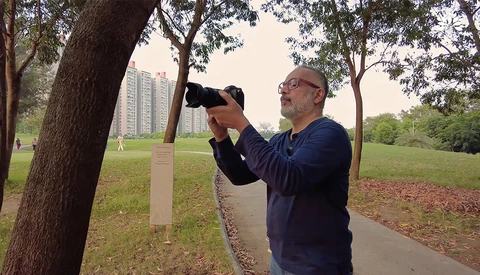 Photographer with glasses holding a telephoto lens, shooting upward beneath large trees in an urban park.