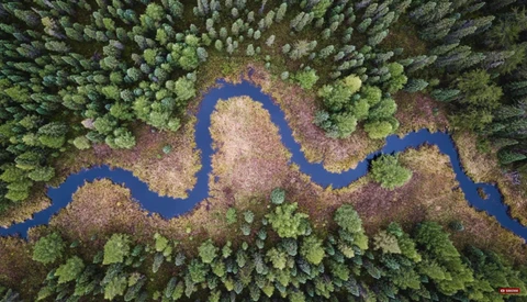 Aerial view of a winding river through dense forest with coniferous and deciduous trees.