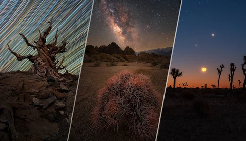 Three vertical panels of desert night photography showing a dead tree with star trails, a barrel cactus under the Milky Way, and Joshua trees silhouetted against a moonlit sky.