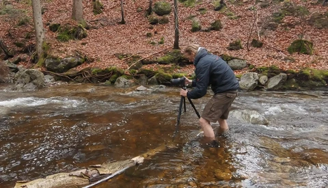 Photographer wading in a forest stream with a tripod and camera, capturing flowing water among moss-covered rocks and fallen logs.