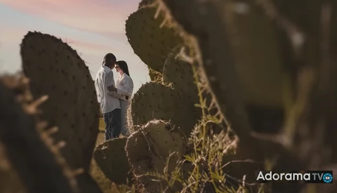 Couple embracing among tall prickly pear cacti during golden hour.
