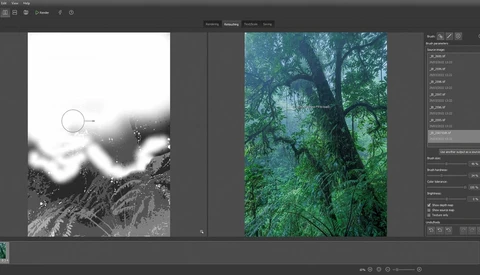 Screenshot of photo editing software showing black and white landscape with circular selection tool and vibrant forest image on right panel.