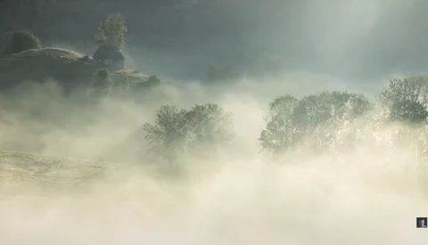 Trees emerging from thick fog in a misty landscape with layered atmospheric haze.