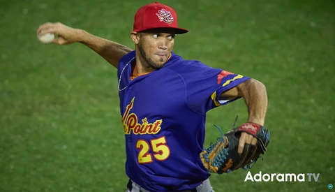 Baseball pitcher in mid-throw wearing blue jersey number 25 and red cap against green field background.