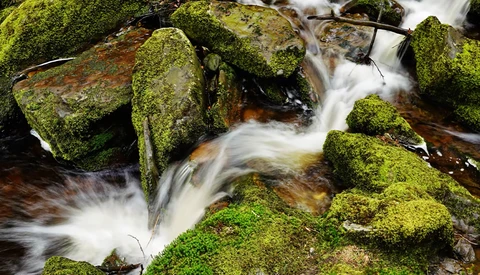 Flowing stream cascading over moss-covered rocks with long exposure technique creating silky water effect.