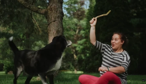 Woman in striped shirt playing fetch with black dog in grassy park setting.