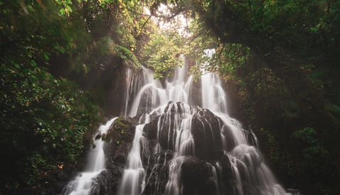 Multi-tiered waterfall cascading through dense green foliage in soft, diffused light.