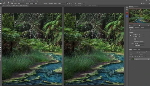 Screenshot of Photoshop showing before and after comparison of a lush forest stream with color grading adjustments.
