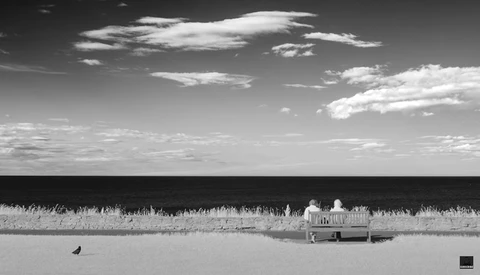 Black and white landscape with a solitary bench on a flat shoreline, framed by tall reeds and calm water.