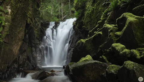 Cascading waterfall flows through moss-covered rocky gorge surrounded by dense forest.