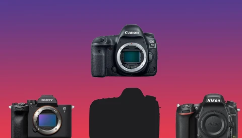 Three professional DSLR camera bodies displayed against a gradient purple and pink background.