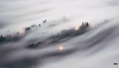 Headlights pierce through dense fog rolling across forested hillsides at dusk.