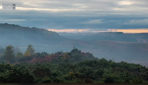 Misty mountain valley at dawn with layered forested ridges and soft golden light breaking through clouds.