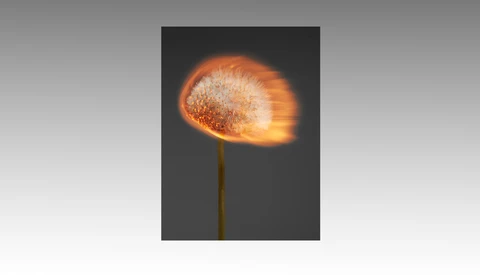 Dandelion seedhead illuminated with bright orange and yellow light against a dark gray background.