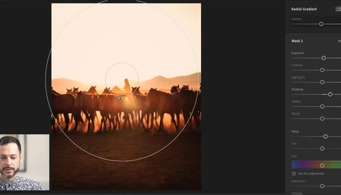 Screenshot of radial gradient mask applied to silhouetted herd of cattle at sunset.