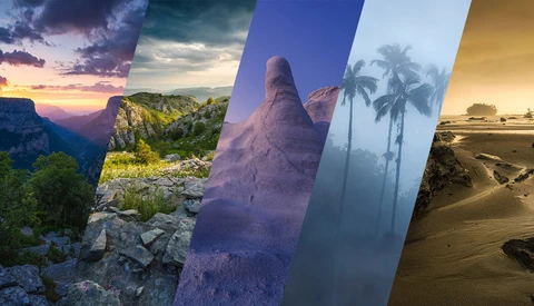 Five vertical landscape photography panels showing diverse natural environments at different times of day.