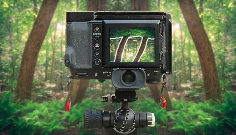 Large format camera with digital back mounted on tripod in forest setting.