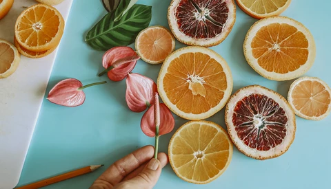 Hand holding pink flowers above sliced citrus fruits arranged on a turquoise and white split background.