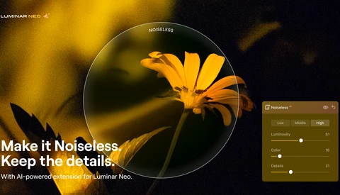 Screenshot of Luminar Neo's Noiseless extension interface with a yellow flower in soft focus background.
