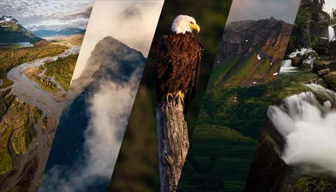 Collage of five landscape and wildlife photographs featuring mountains, a bald eagle, river valleys, and a waterfall.