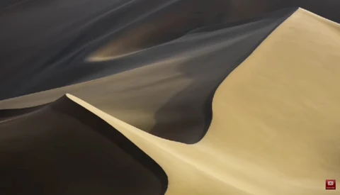 Abstract close-up of curved cream and charcoal surfaces with smooth, flowing forms and dramatic shadow play.