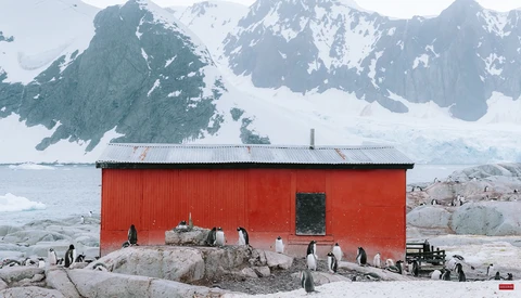 Bright red building on rocky Antarctic shore with snow-covered mountains and penguins nearby.