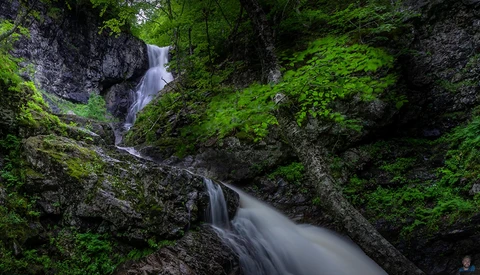 Multi-tiered waterfall cascading through moss-covered rocks in a densely forested ravine.