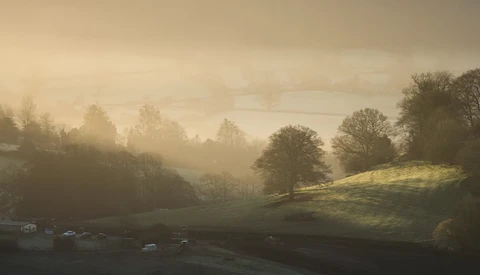 Misty valley landscape with golden sunlight filtering through bare trees and fog at dawn or dusk.